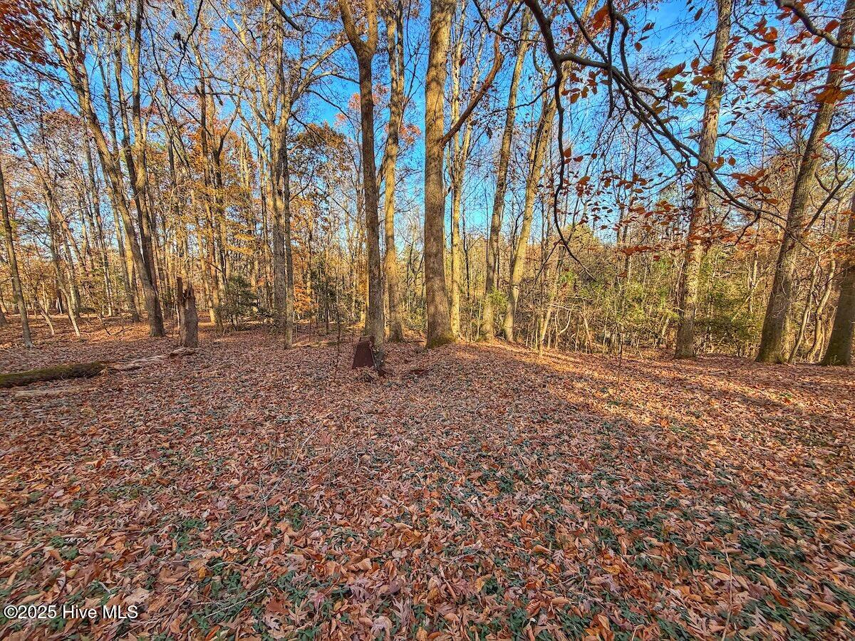 0 Mabry Mill Road Henderson, NC 27537 - Photo 26 of 42 22