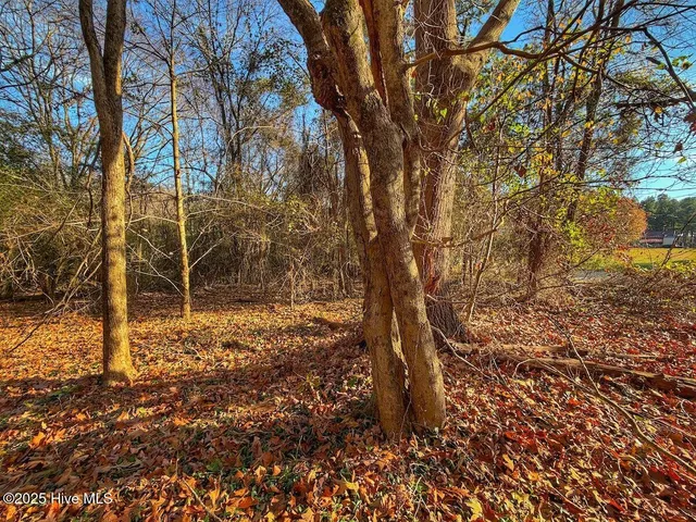 $45,900 | 0 Mabry Mill Road, Henderson, NC 27537