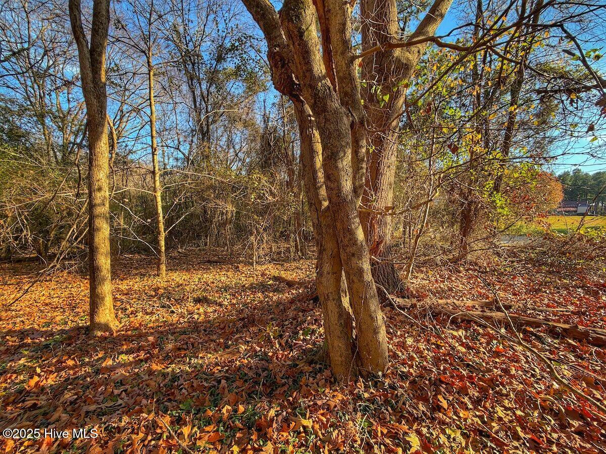 0 Mabry Mill Road Henderson, NC 27537 - Photo 34 of 42 30