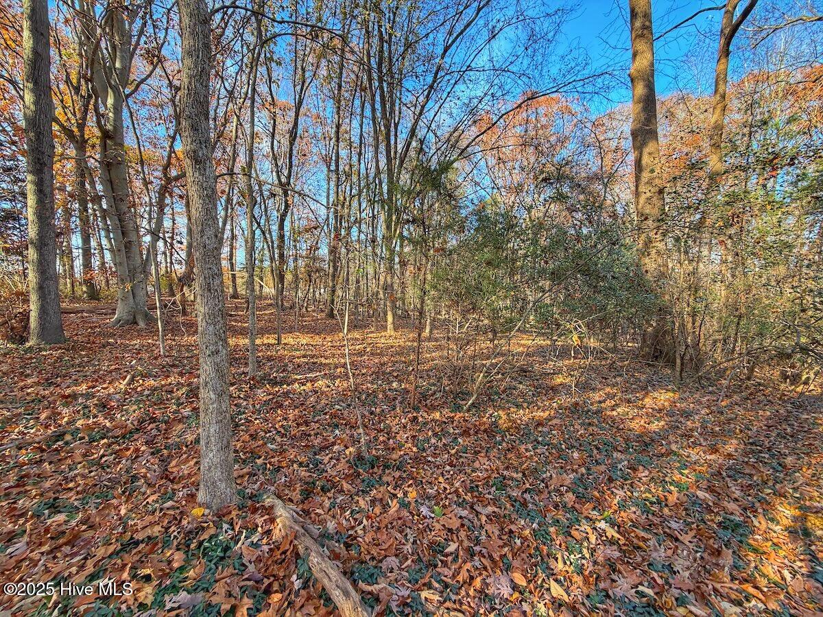 0 Mabry Mill Road Henderson, NC 27537 - Photo 35 of 42 31