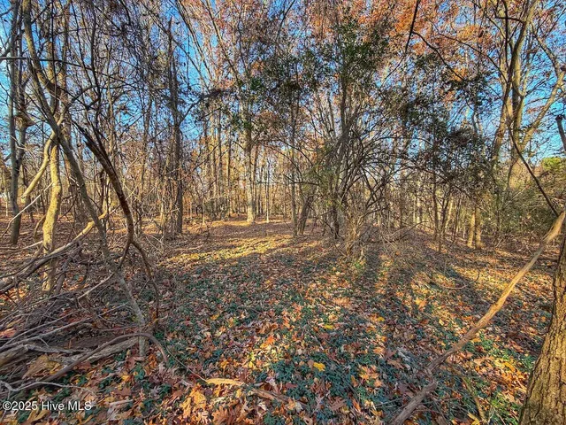 $45,900 | 0 Mabry Mill Road, Henderson, NC 27537