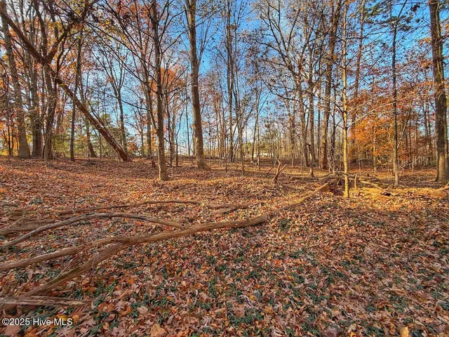 $45,900 | 0 Mabry Mill Road, Henderson, NC 27537