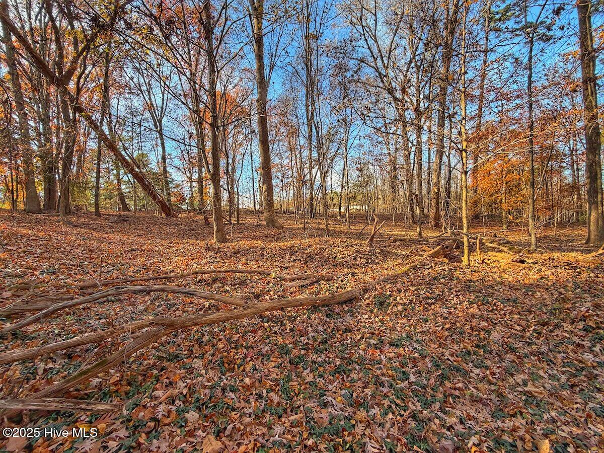 0 Mabry Mill Road Henderson, NC 27537 - Photo 38 of 42 34