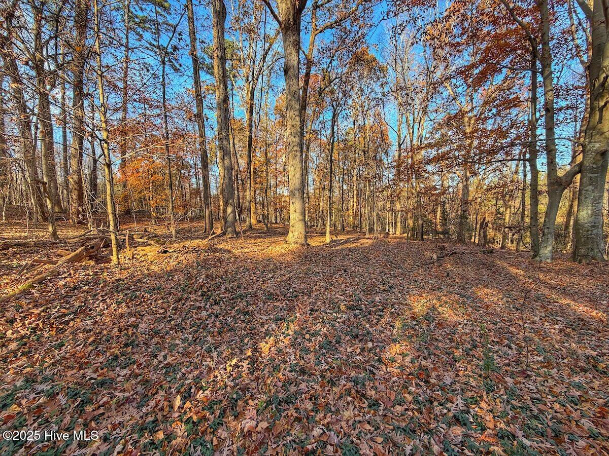 0 Mabry Mill Road Henderson, NC 27537 - Photo 39 of 42 35