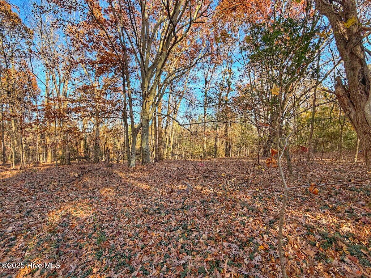 0 Mabry Mill Road Henderson, NC 27537 - Photo 40 of 42 36