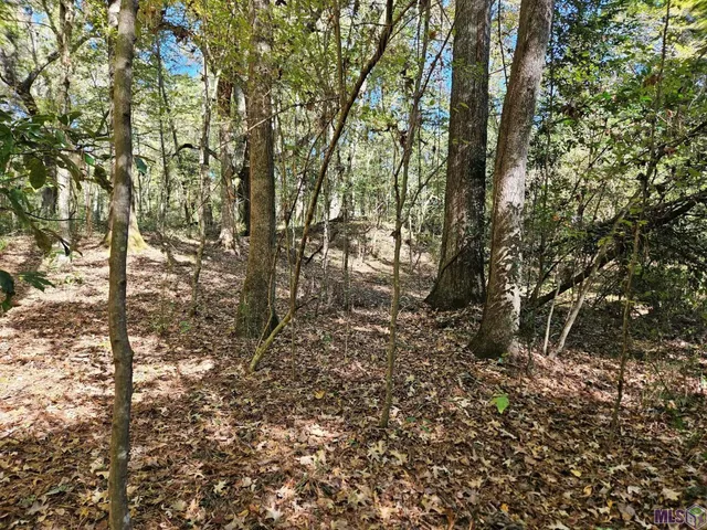 $225,250 | 9901 Tunica Trace, St. Francisville, LA 70775