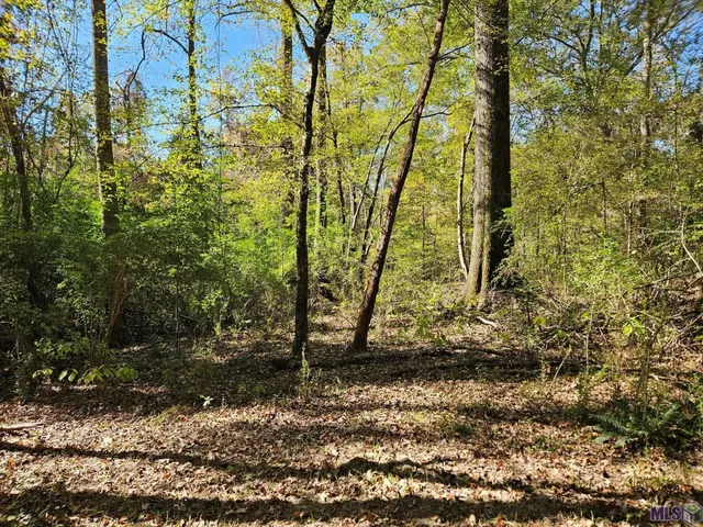 $225,250 | 9901 Tunica Trace, St. Francisville, LA 70775