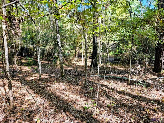 $225,250 | 9901 Tunica Trace, St. Francisville, LA 70775