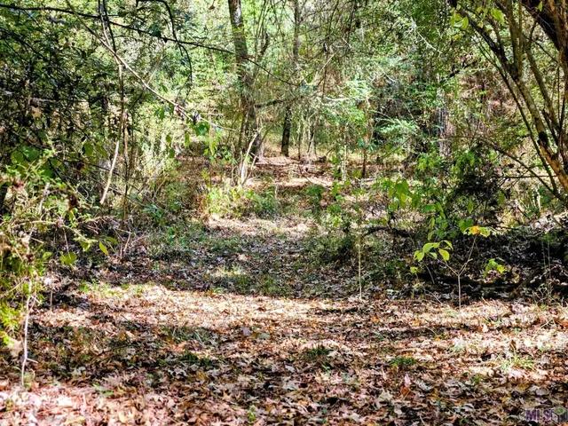 $225,250 | 9901 Tunica Trace, St. Francisville, LA 70775