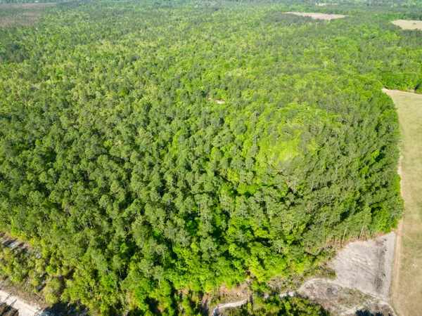 $1,300,000 | 5095 Fellowship Road, Williston, SC 29853