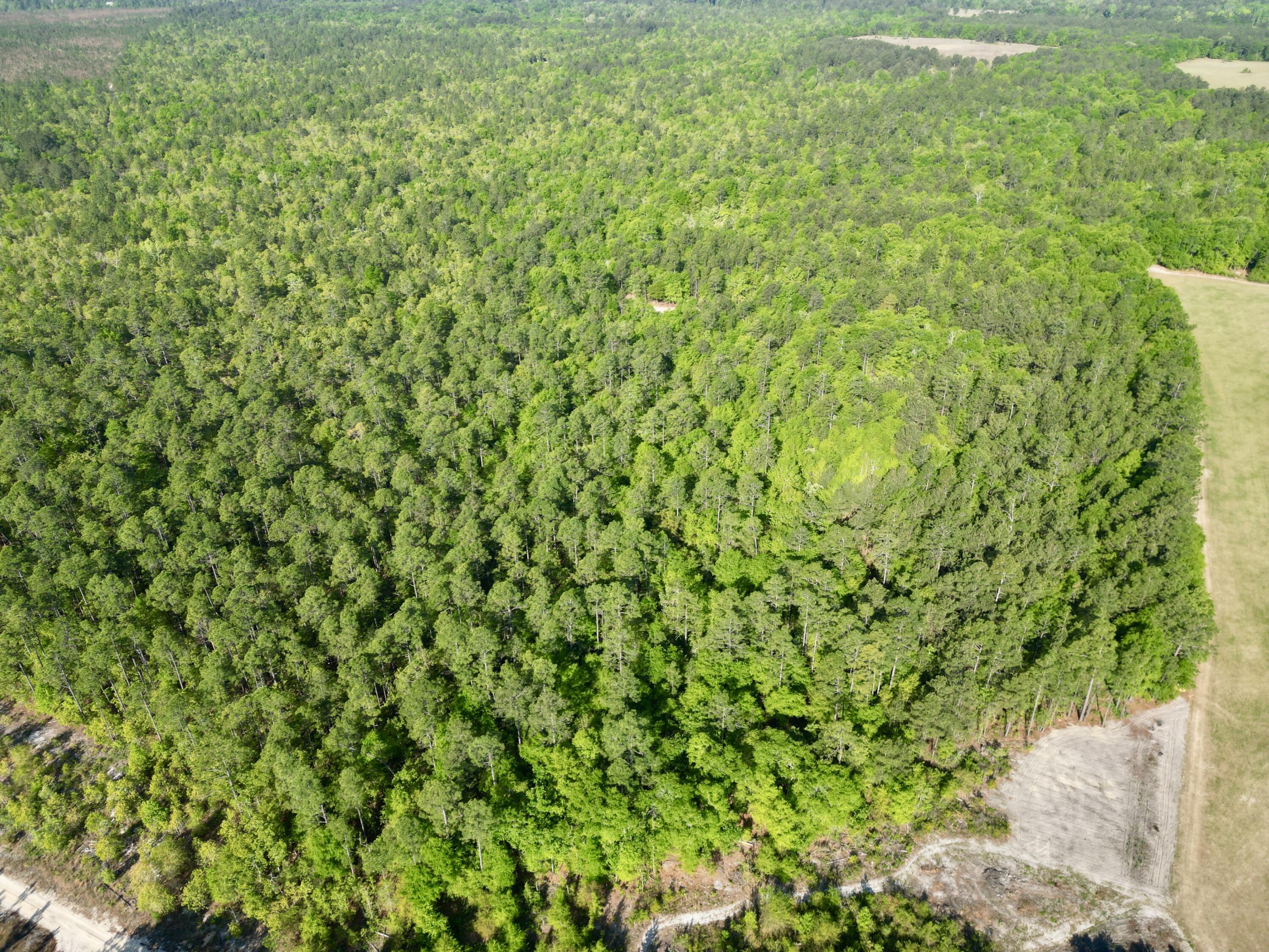 5095 Fellowship Road Williston, SC 29853 - Photo 16 of 35 dji_fly_20260416_093552_18_1776361406324