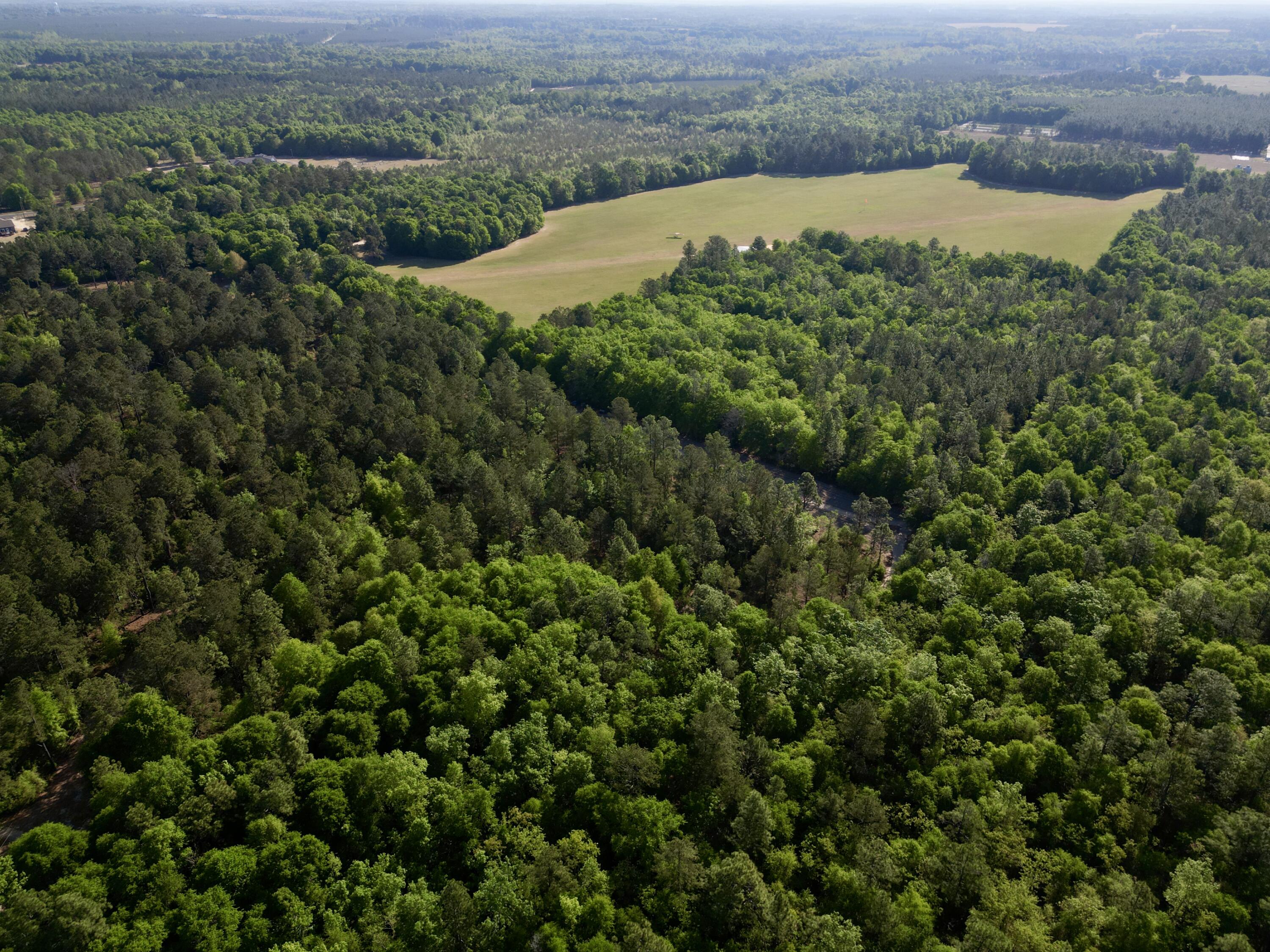 5095 Fellowship Road Williston, SC 29853 - Photo 17 of 35 dji_fly_20260416_095316_37_1776361495129