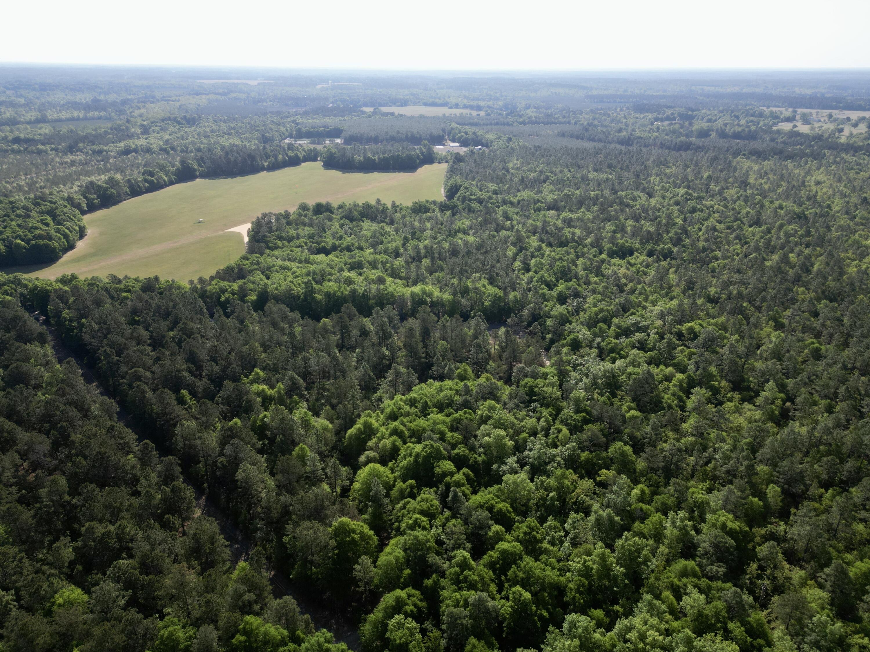 5095 Fellowship Road Williston, SC 29853 - Photo 18 of 35 dji_fly_20260416_095342_38_1776361497315