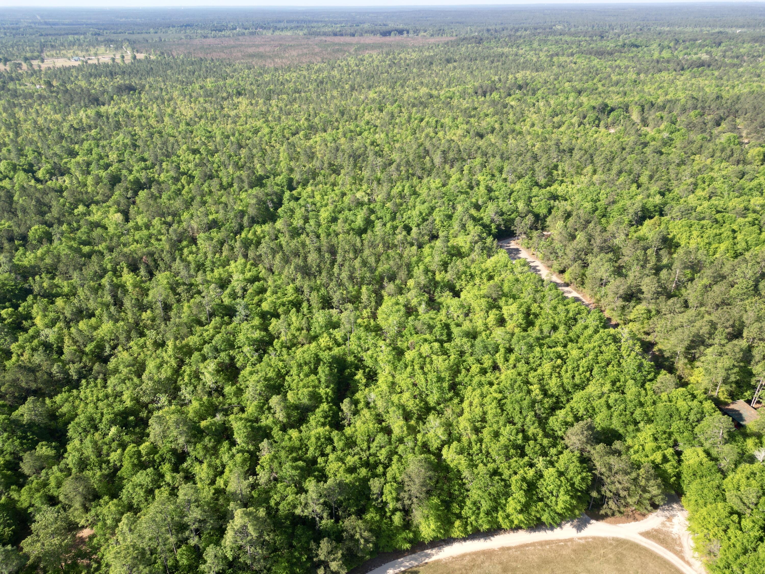 5095 Fellowship Road Williston, SC 29853 - Photo 19 of 35 dji_fly_20260416_095104_35_1776361491039
