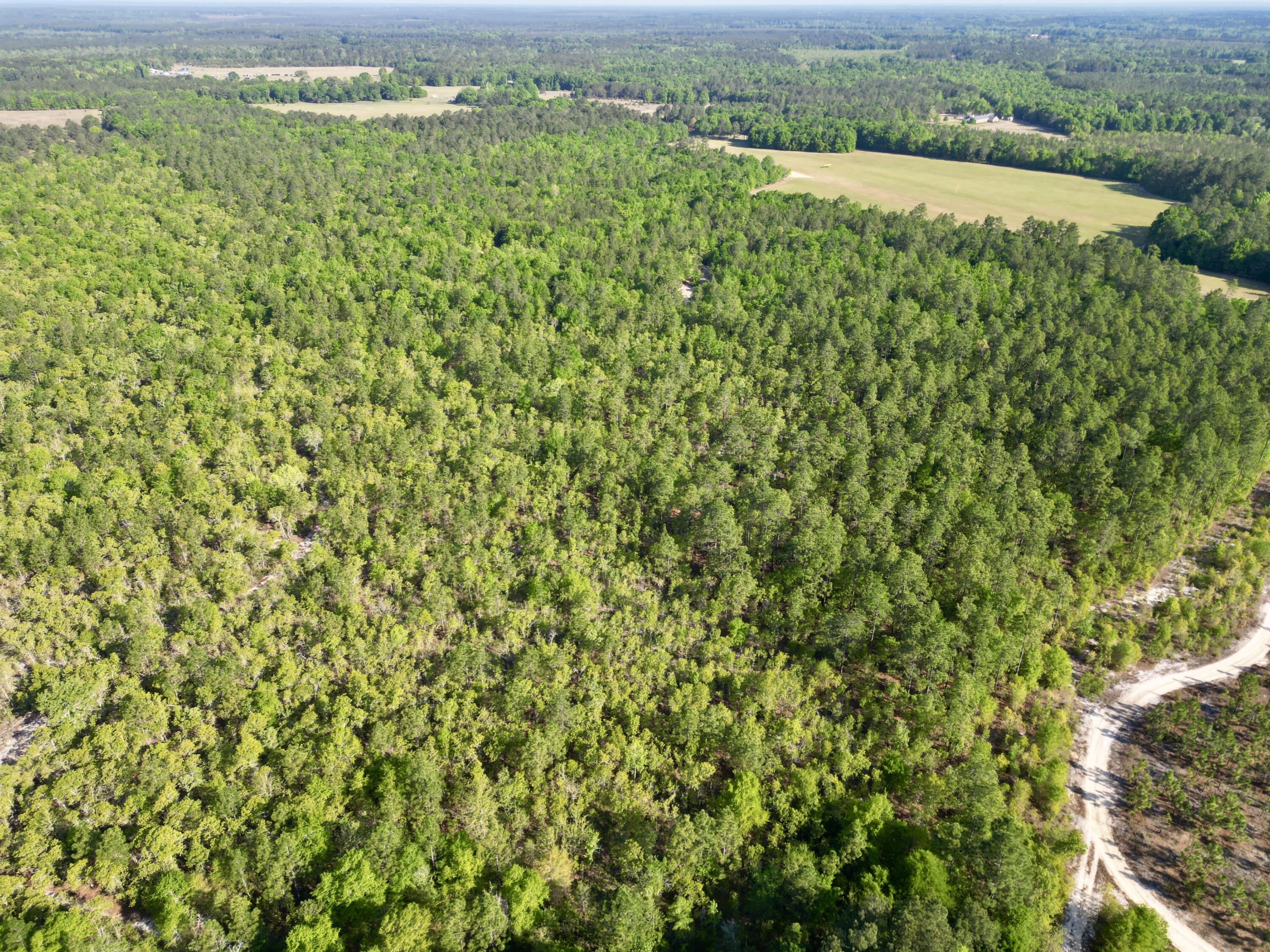 5095 Fellowship Road Williston, SC 29853 - Photo 22 of 35 dji_fly_20260416_093752_22_1776361418778