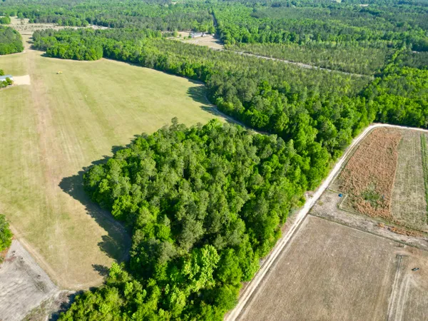 $1,300,000 | 5095 Fellowship Road, Williston, SC 29853