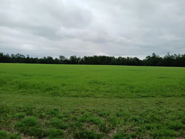 $1,300,000 | 5095 Fellowship Road, Williston, SC 29853