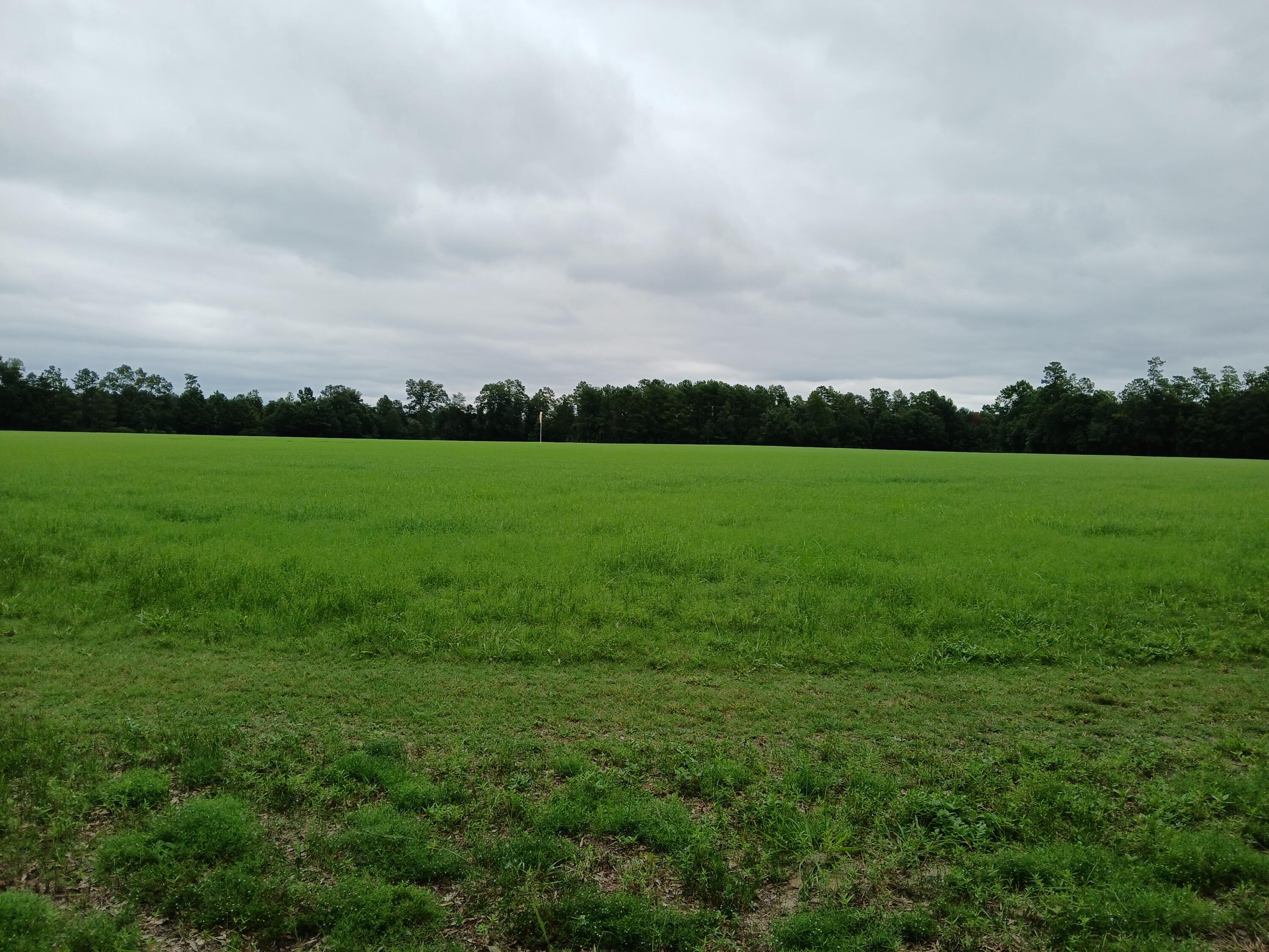 5095 Fellowship Road Williston, SC 29853 - Photo 26 of 35 20250807_143500