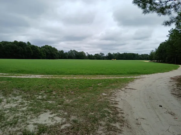 $1,300,000 | 5095 Fellowship Road, Williston, SC 29853