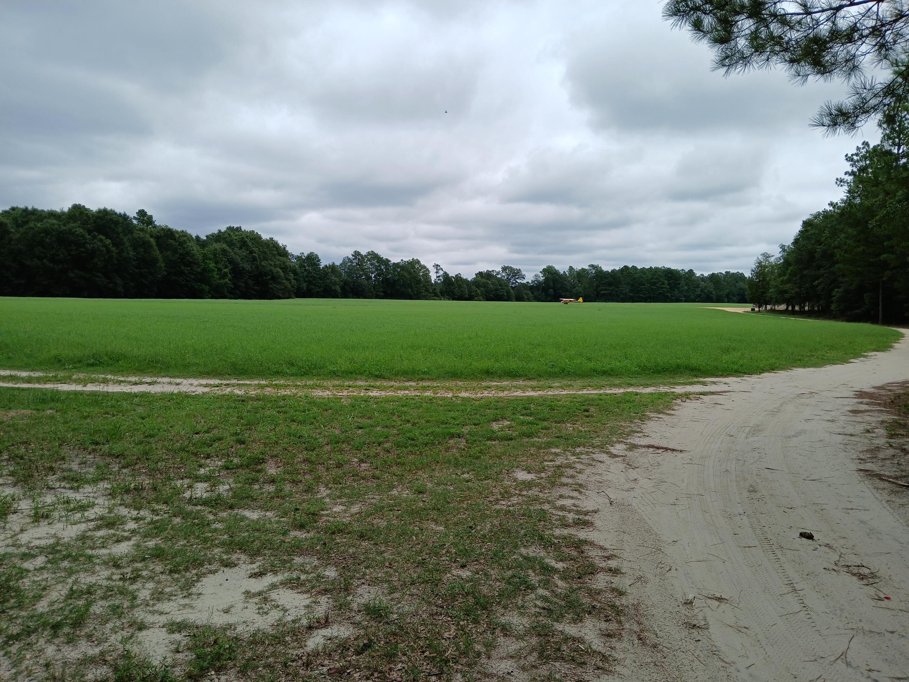 5095 Fellowship Road Williston, SC 29853 - Photo 27 of 35 20250807_141354