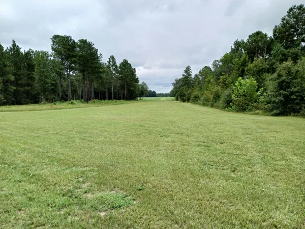 $1,300,000 | 5095 Fellowship Road, Williston, SC 29853