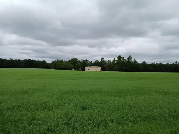 $1,300,000 | 5095 Fellowship Road, Williston, SC 29853