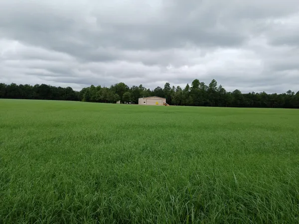 $1,300,000 | 5095 Fellowship Road, Williston, SC 29853