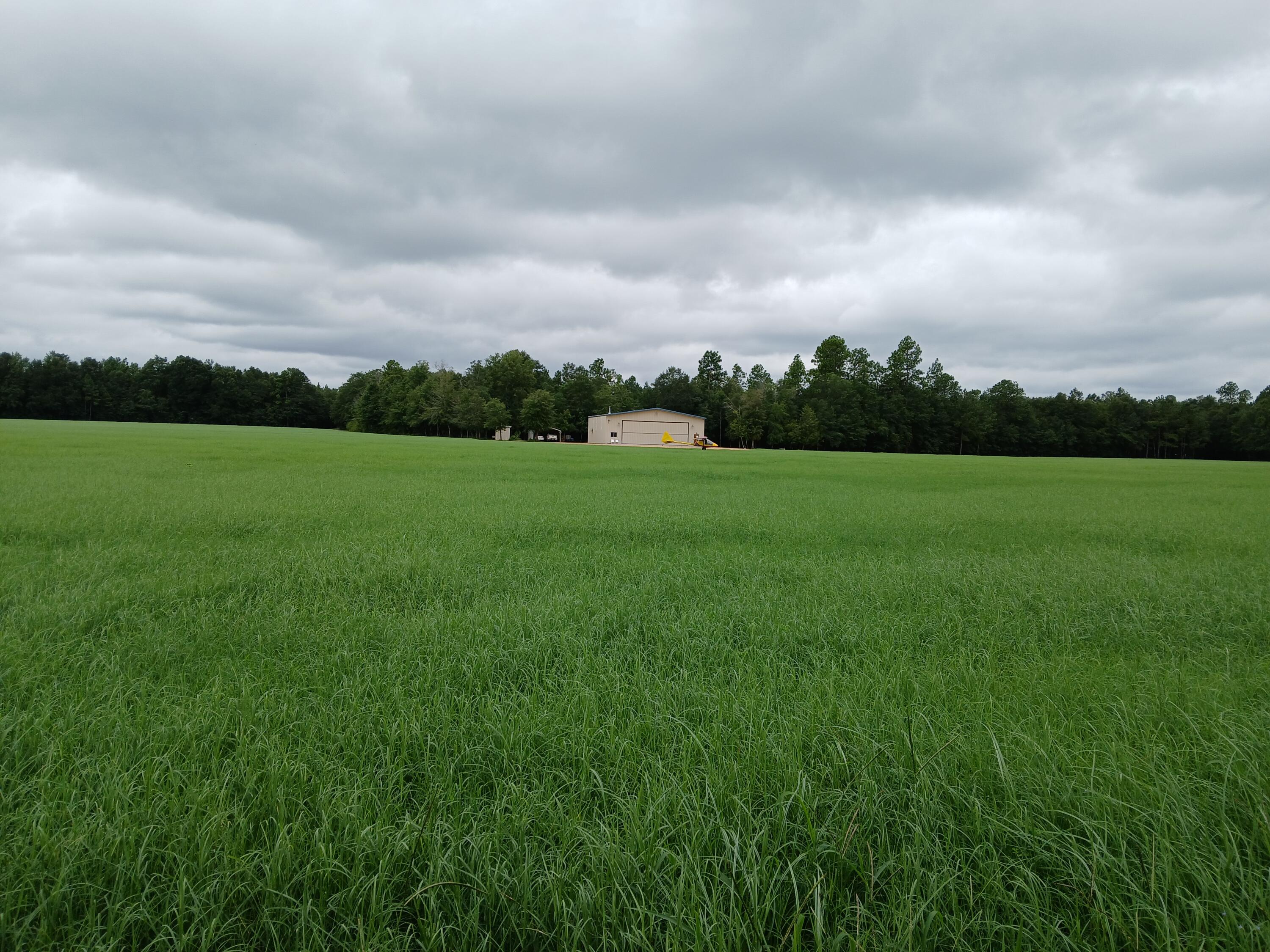 5095 Fellowship Road Williston, SC 29853 - Photo 31 of 35 20250807_140623