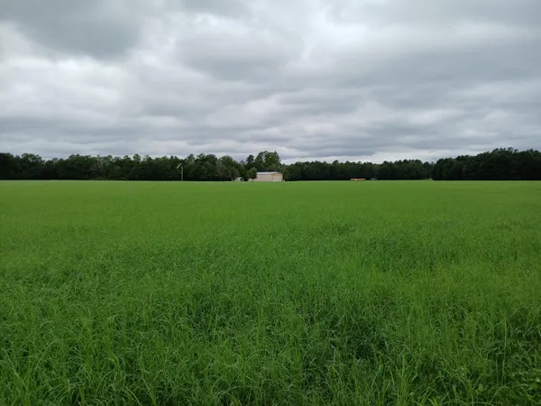 $1,300,000 | 5095 Fellowship Road, Williston, SC 29853