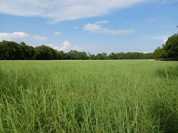 $1,300,000 | 5095 Fellowship Road, Williston, SC 29853