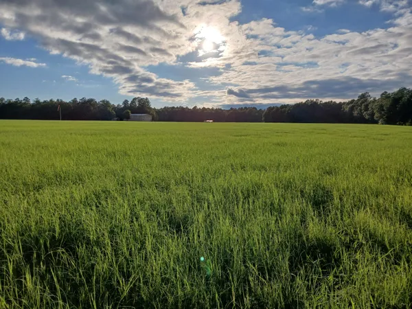 $1,300,000 | 5095 Fellowship Road, Williston, SC 29853