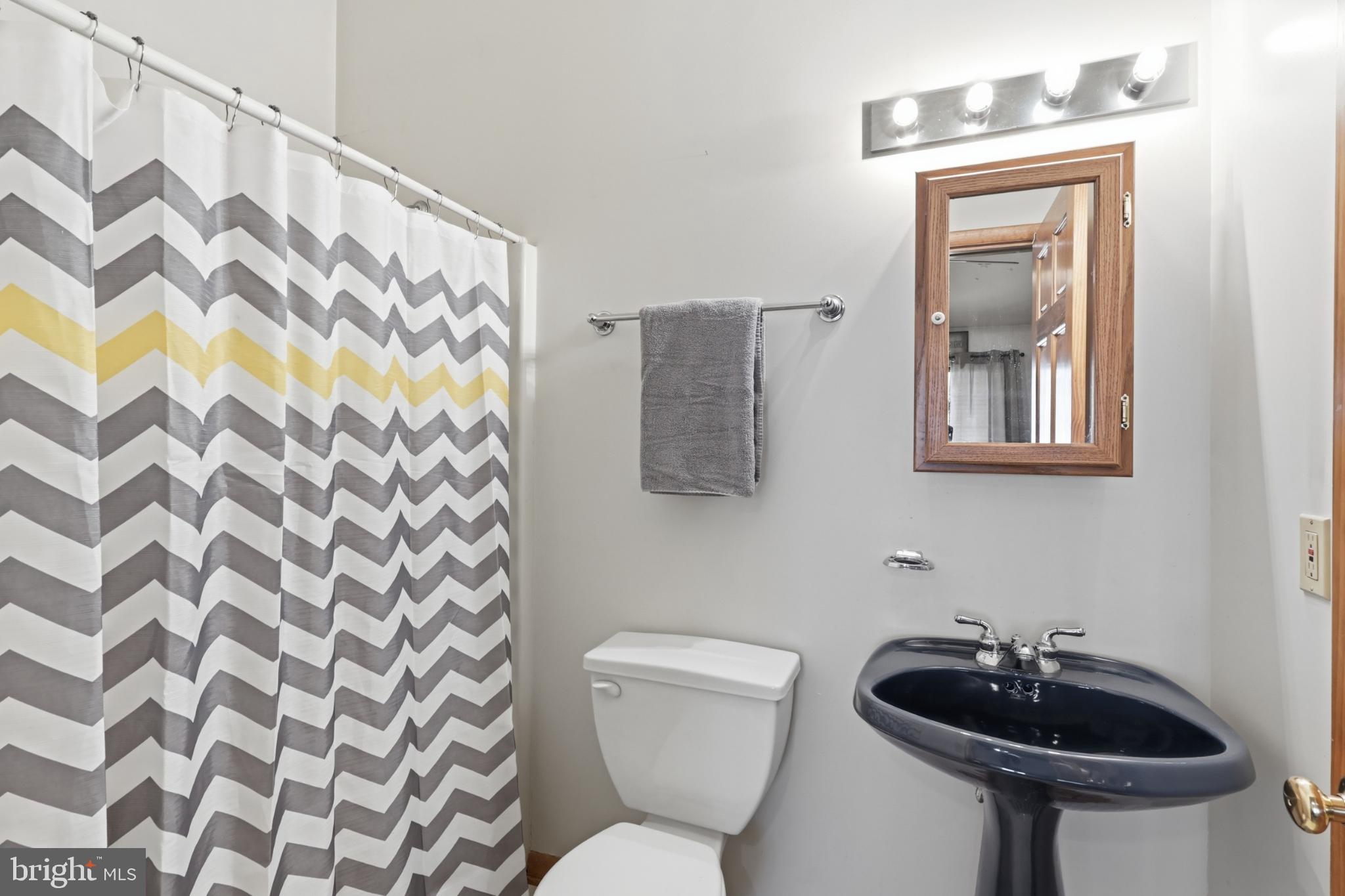 8939 Hawbottom Road Middletown, MD 21769 - Photo 34 of 92 a bathroom with a sink and a mirror