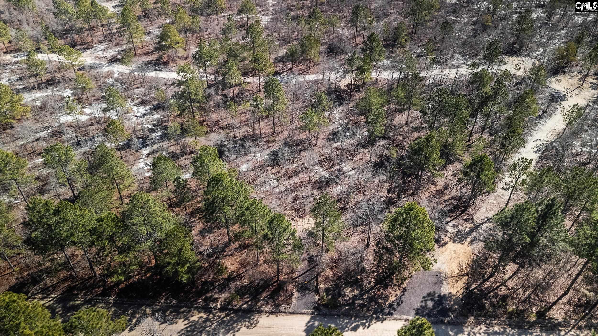 1 Spring Creek Road Lugoff, SC 29078 - Photo 14 of 14