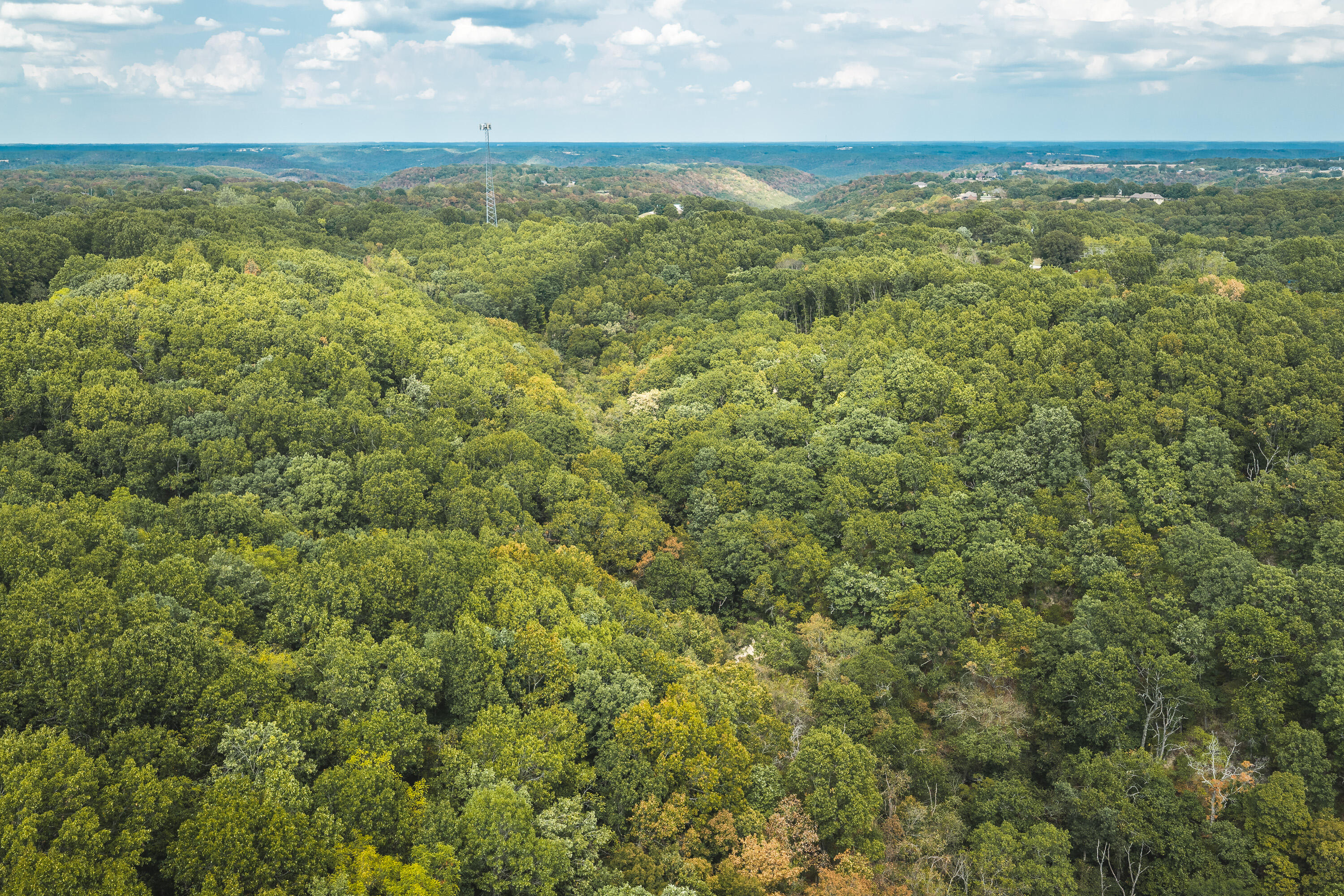 1190 Old US Highway 160 Reeds Spring, MO 65737 - Photo 44 of 50 DJI_20260916144242_0159_D