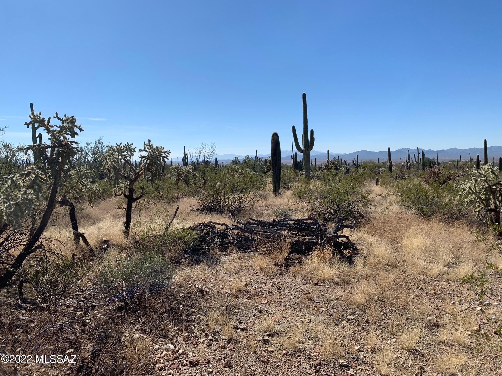 8.81-acres West Mile Wide Road, Unit A Tucson, AZ 85743 - Photo 12 of 16