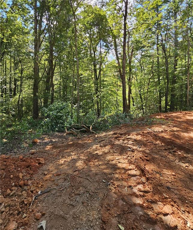 7619 Yukon Road Talking Rock, GA 30175 - Photo 28 of 32 Gallery Image 28