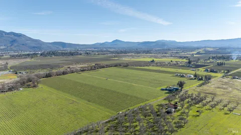 a view of a lush green field