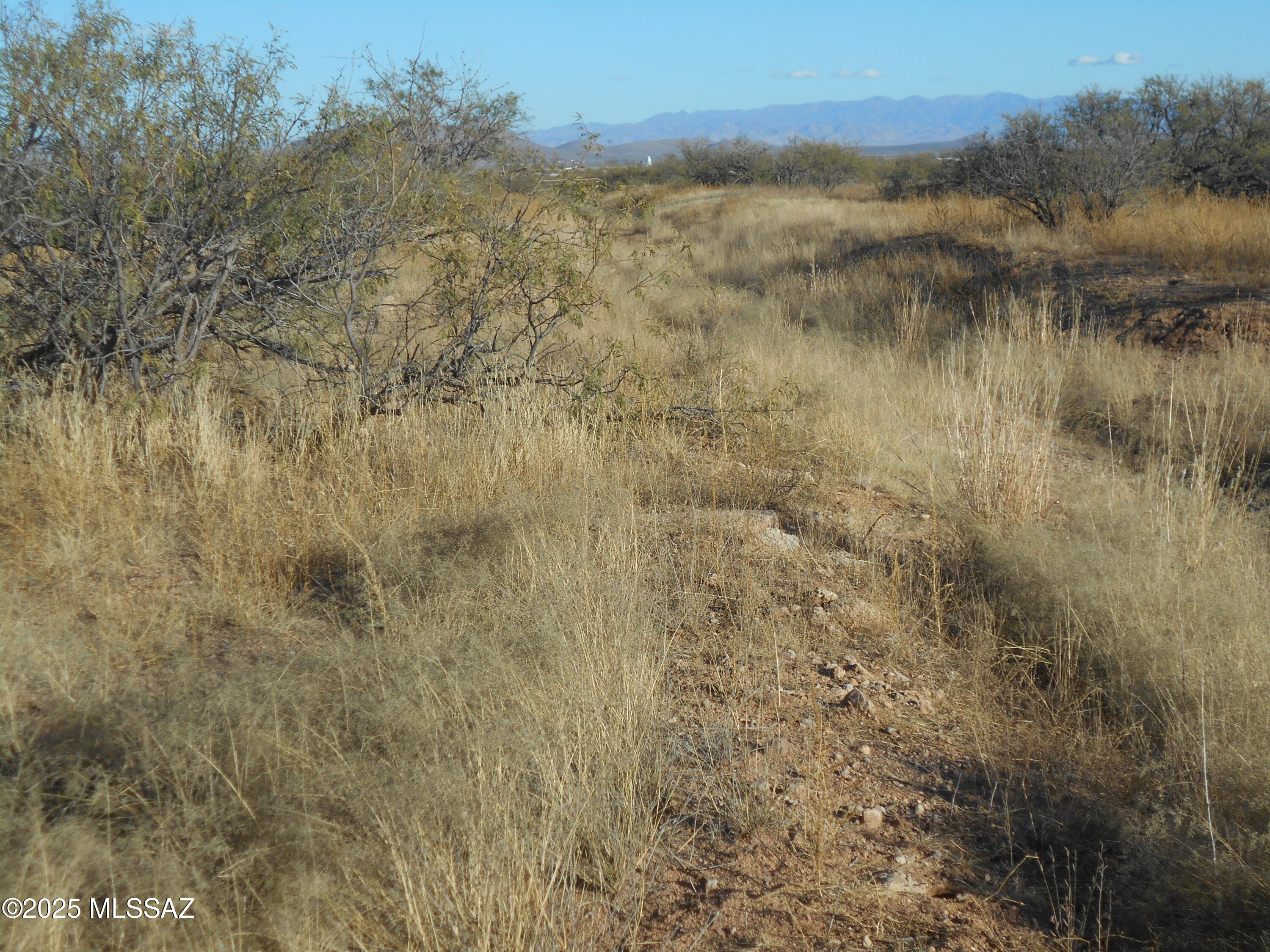4.25-acres Eastland Road, Unit 8 Cochise, AZ 85606 - Photo 17 of 35