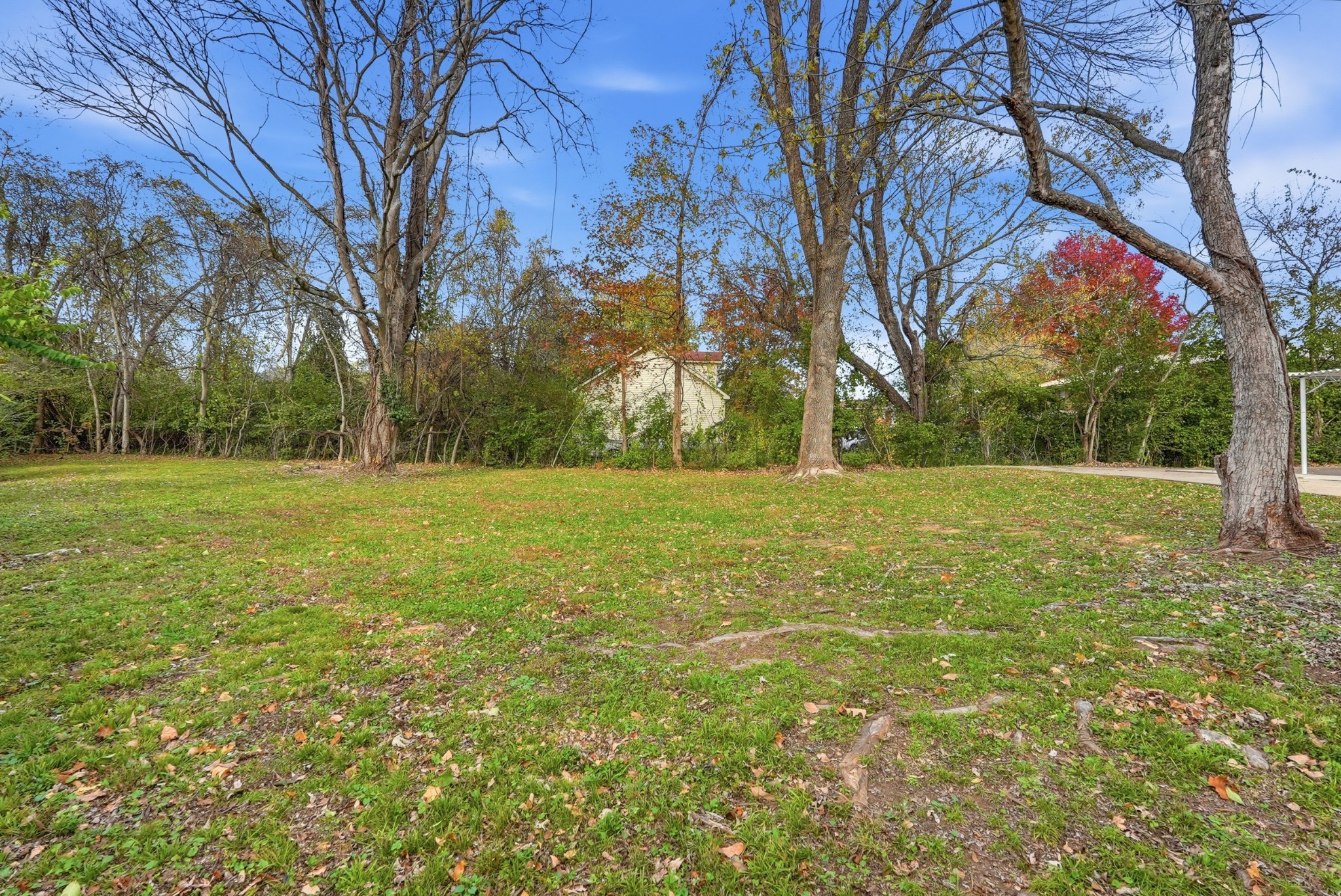 558 Walton Ferry Road Hendersonville, TN 37075 - Photo 27 of 28 a view of a field with trees in the background