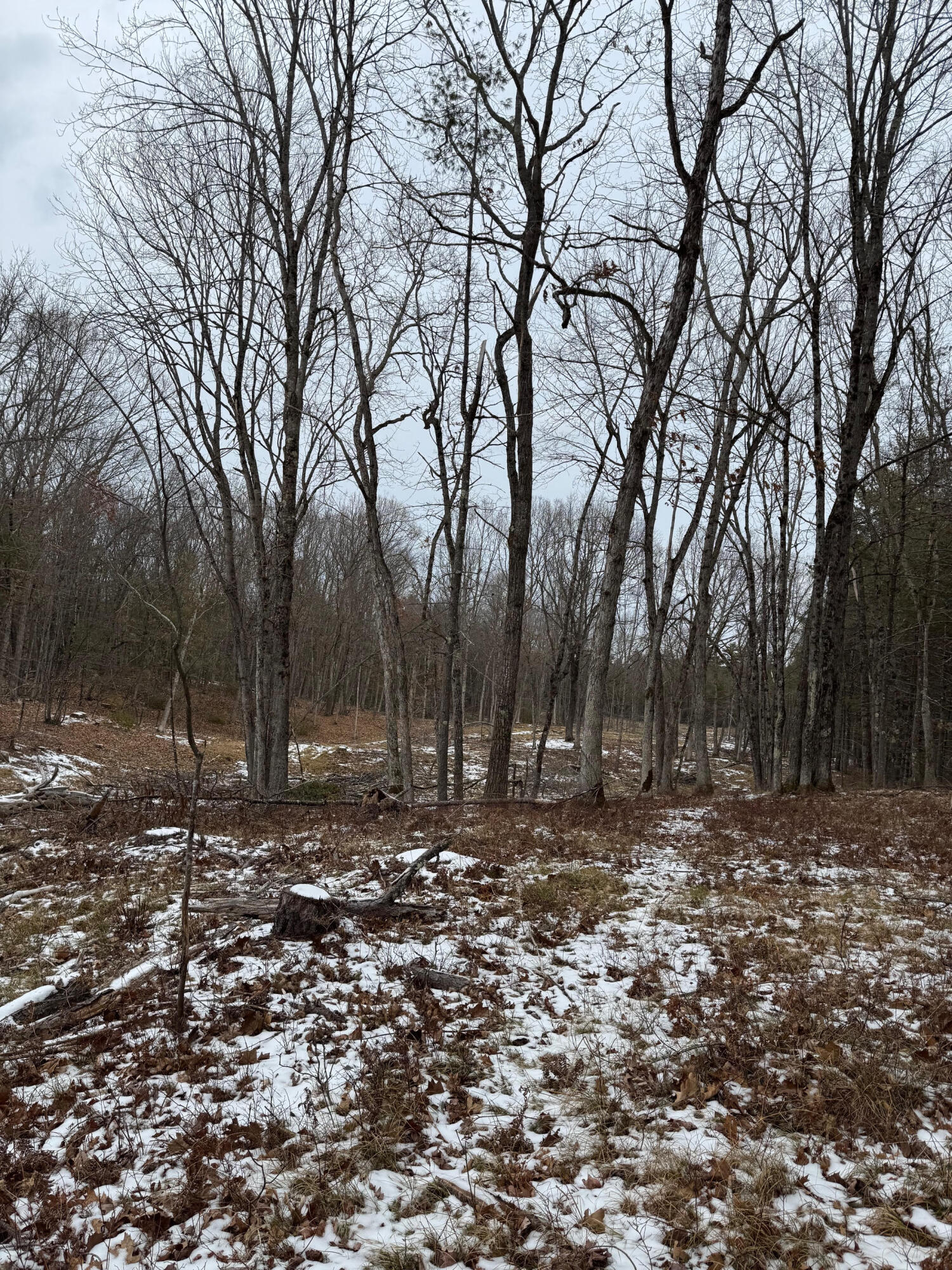 1313 Cape Road Hollis Center, ME 04042 - Photo 9 of 16 12