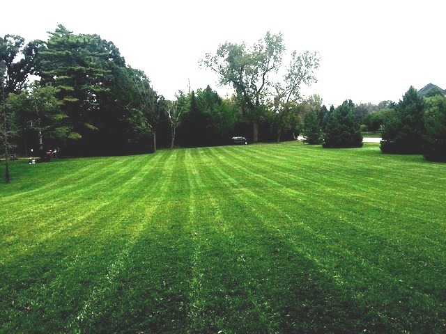 8670 South County Line Road Burr Ridge, IL 60527 - Photo 7 of 22