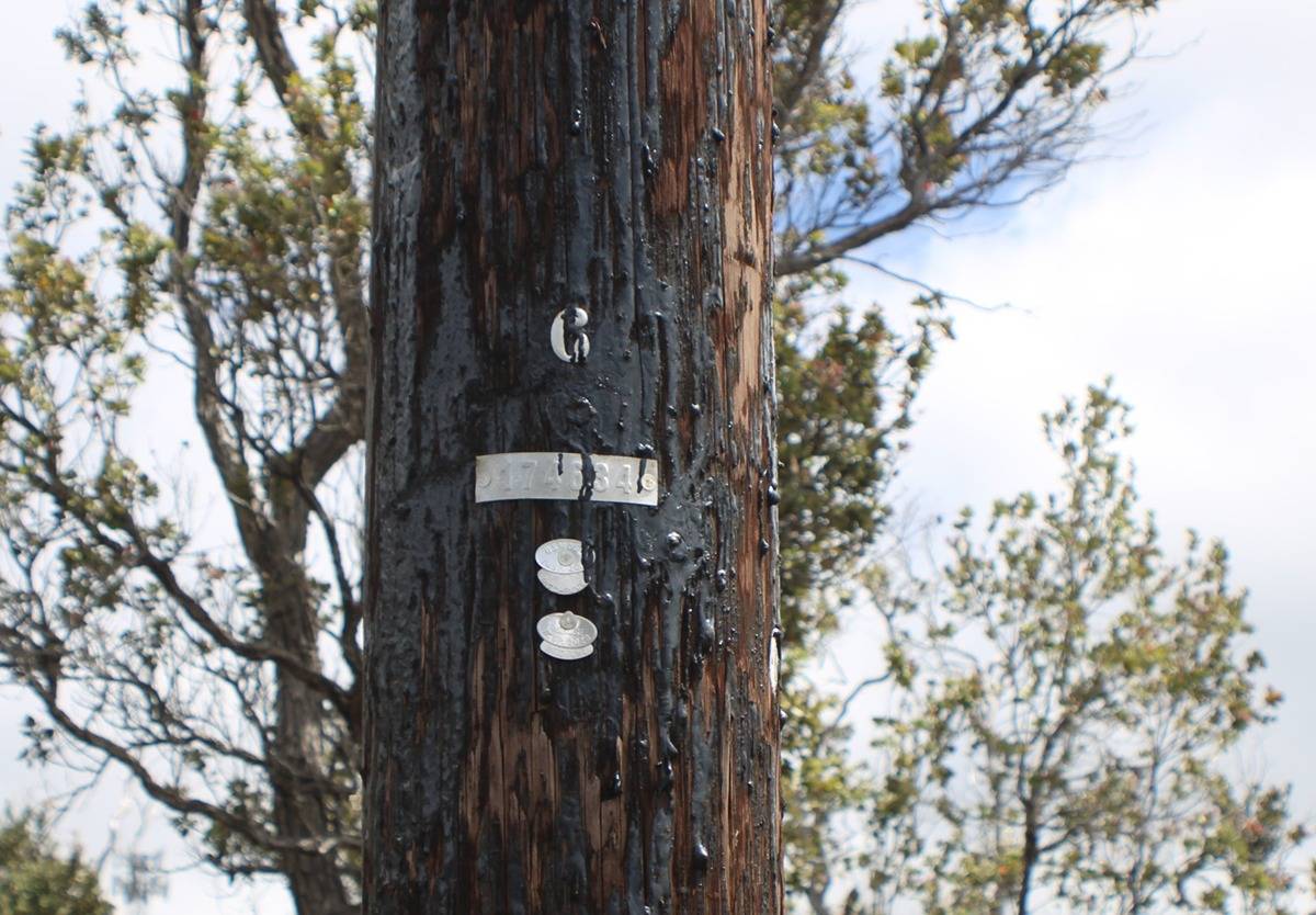 14 Bamboo Lane Ocean View, HI 96704 - Photo 17 of 17 a view of entryway