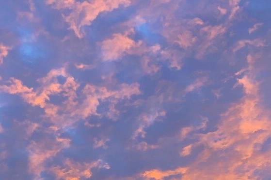 14 Bamboo Lane Ocean View, HI 96704 - Photo 2 of 17