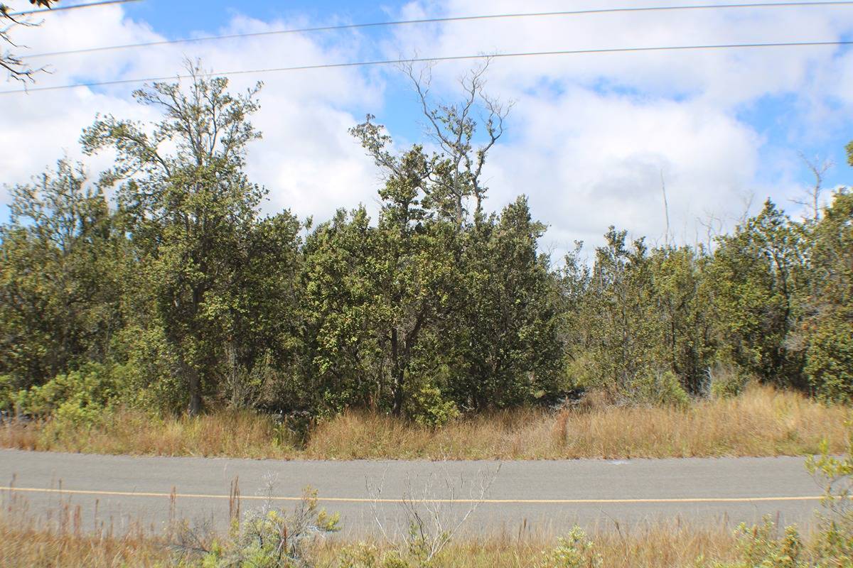 14 Bamboo Lane Ocean View, HI 96704 - Photo 5 of 17 a view of a yard