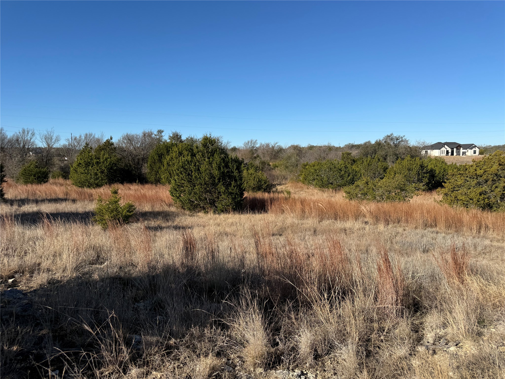 1 Cloudwood Ranch Road Briggs, TX 78608 - Photo 6 of 9 Gallery Image 6