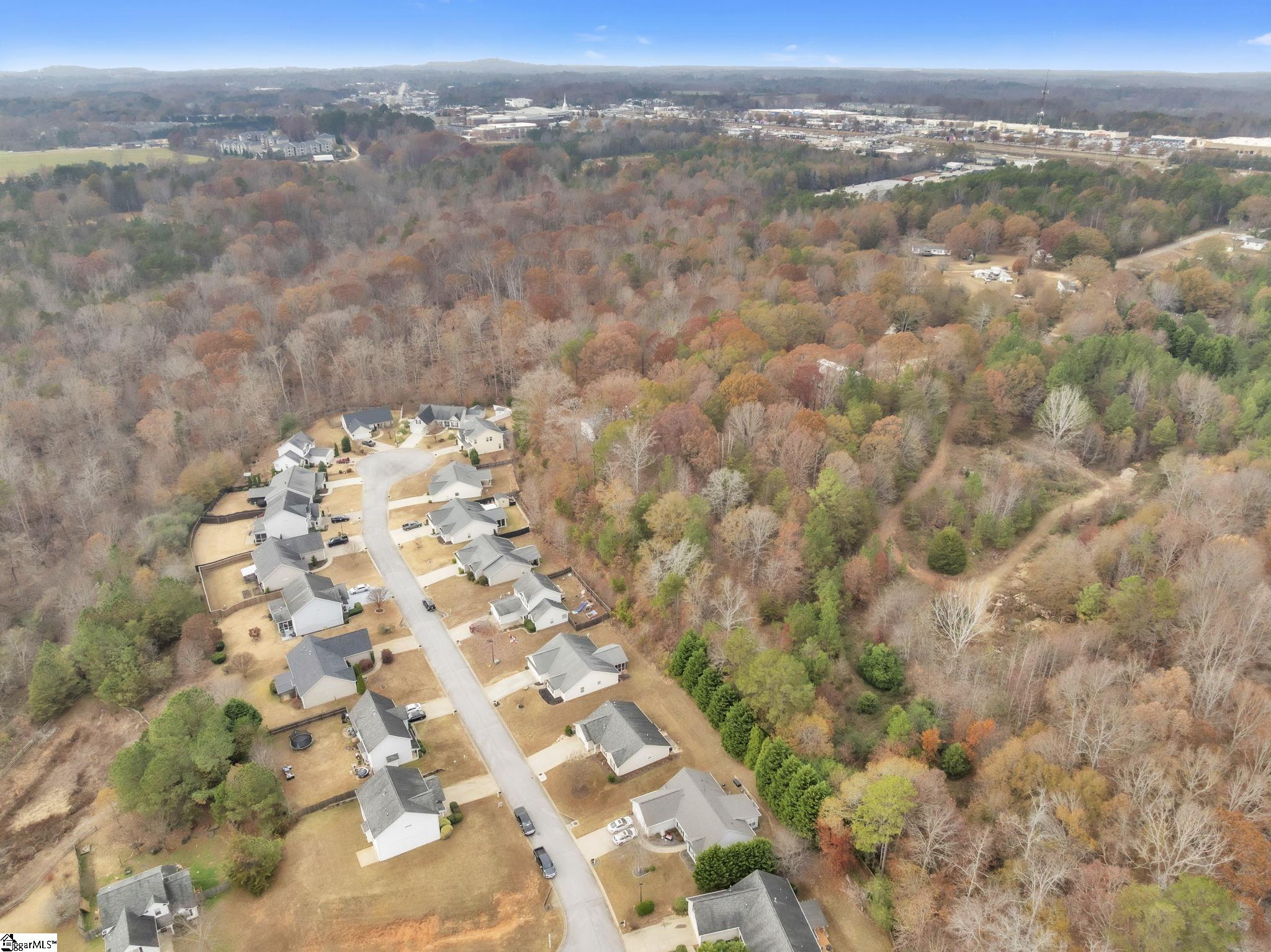208 Fledgling Way Easley, SC 29642 - Photo 30 of 34