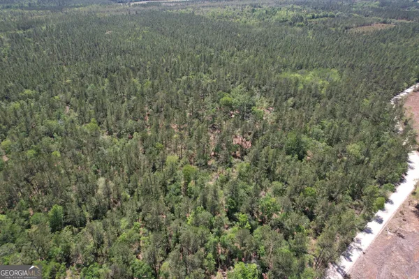 $57,999 | 0 Duncan Bridge Road, Millwood, GA 31552