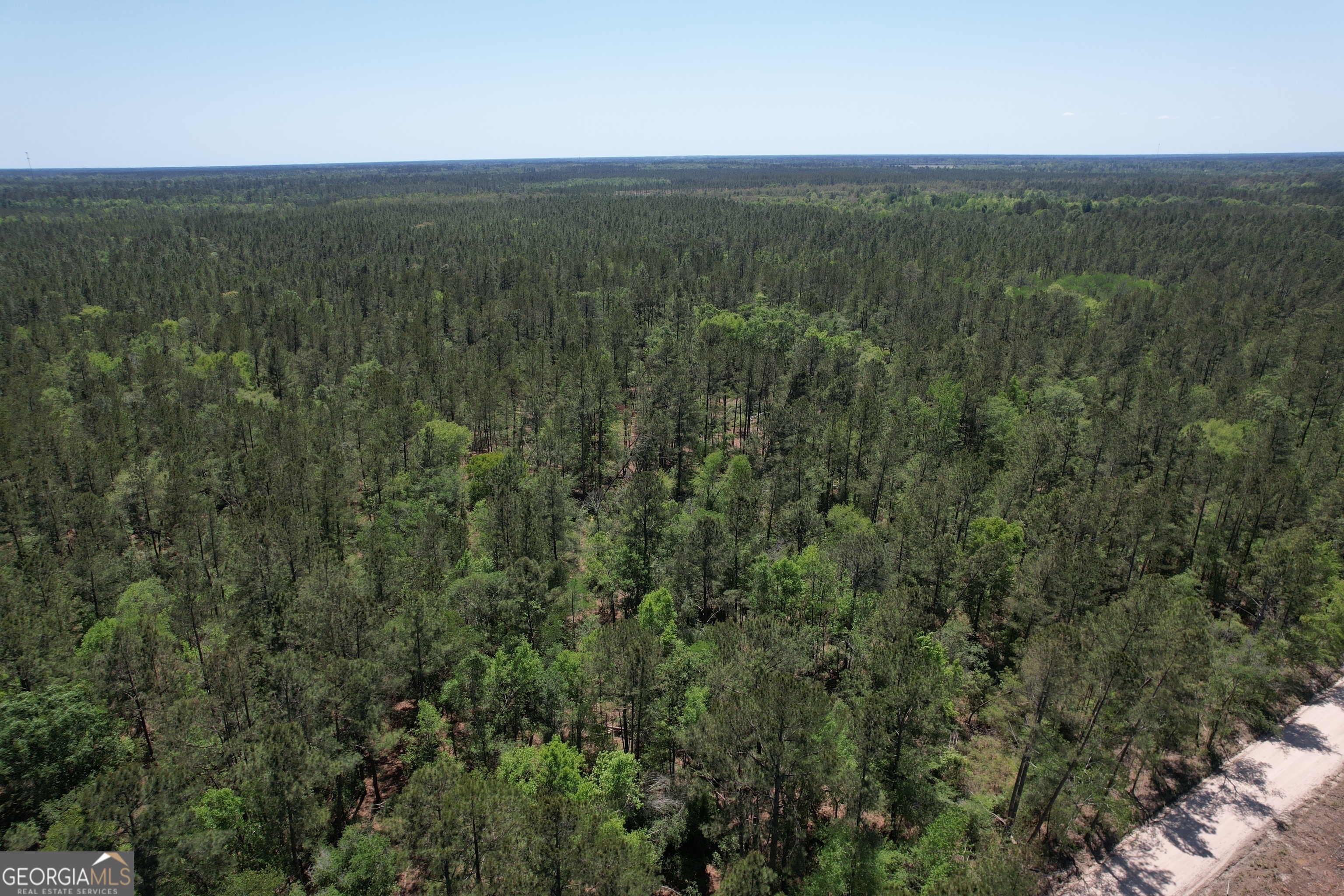 0 Duncan Bridge Road Millwood, GA 31552 - Photo 3 of 6 an aerial view of forest