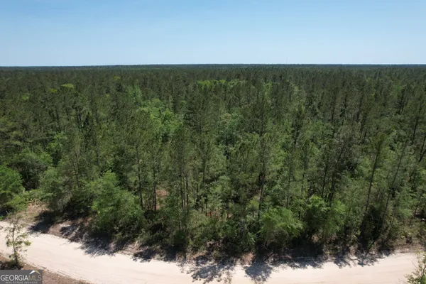 $57,999 | 0 Duncan Bridge Road, Millwood, GA 31552