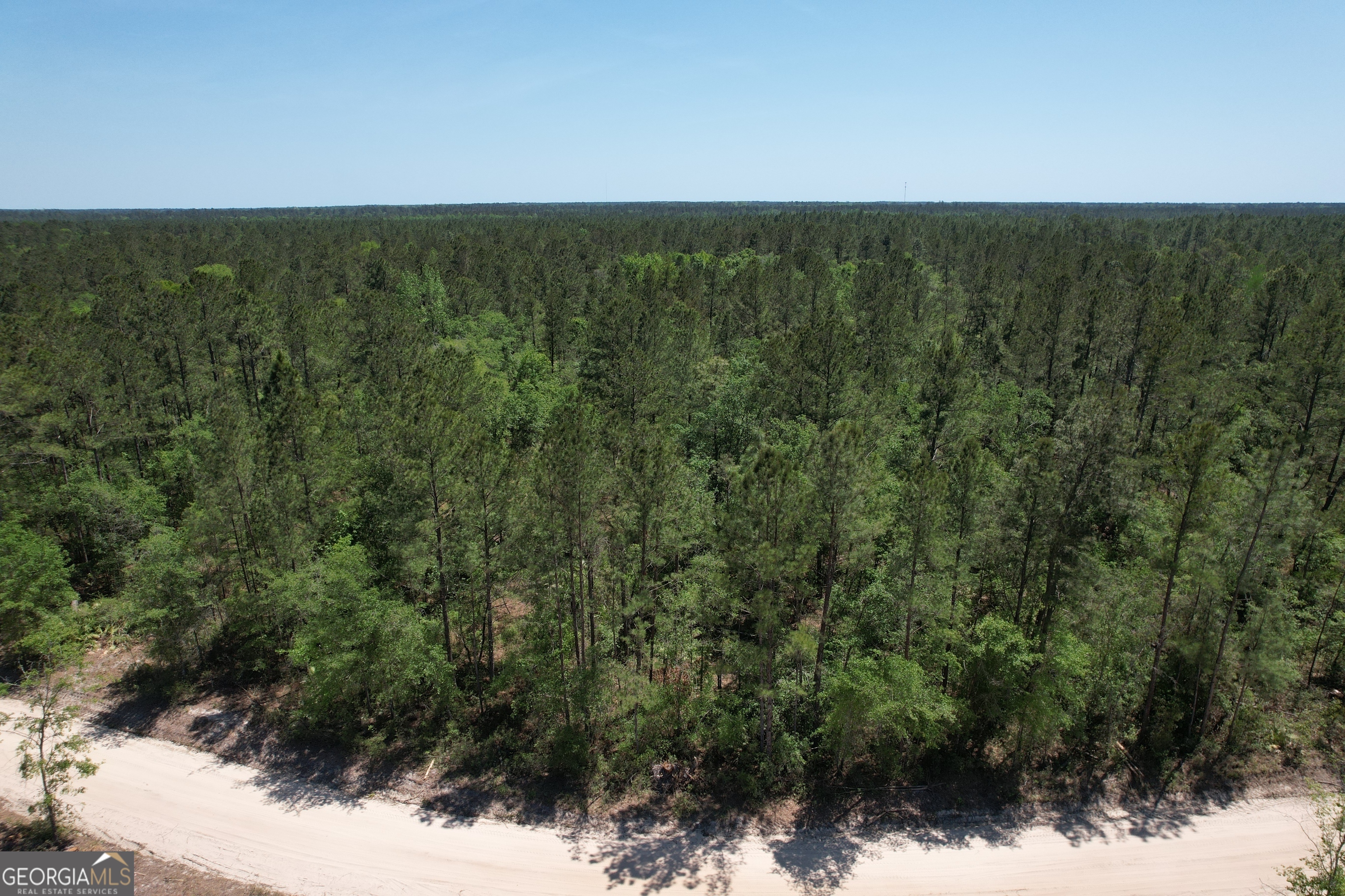 0 Duncan Bridge Road Millwood, GA 31552 - Photo 4 of 6 a view of a yard with a sink